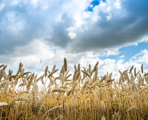 Official Community Plan & Zoning Bylaw